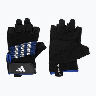 Edzőkesztyűk adidas Performance Training Gloves blue