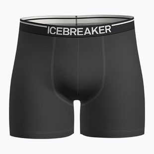 Férfi thermo boxeralsó icebreaker Anatomica plume jet heather