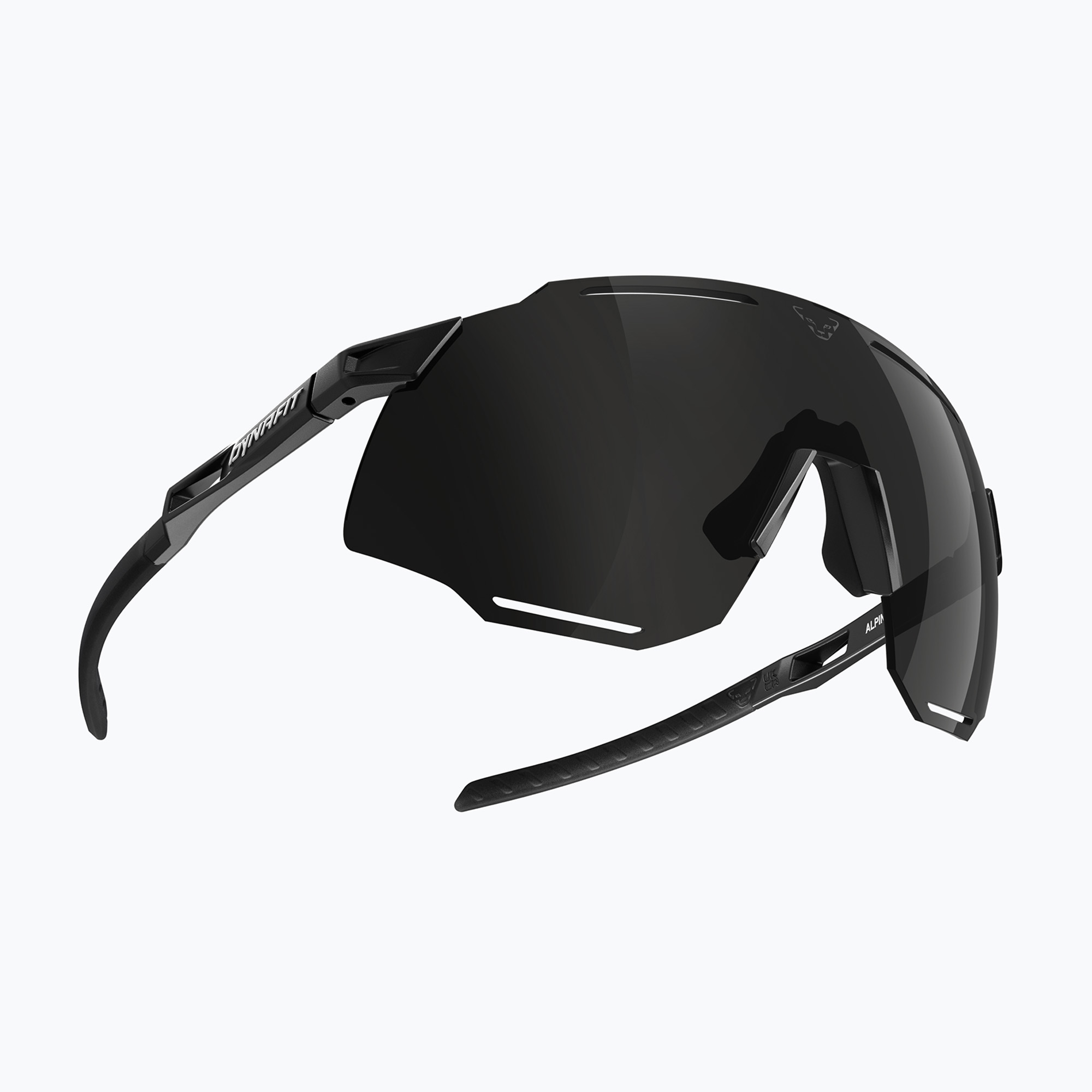 15%-kal olcsóbban.  napszemüveg DYNAFIT Alpine black out/nimbus. Méret: OS