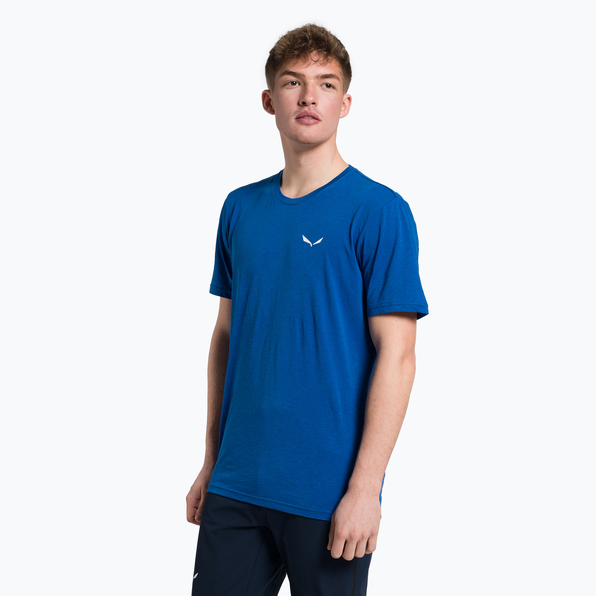 17%-kal olcsóbban.  Férfi trekking póló Salewa Alpine Hemp Logo kék 00-0000028132. Méret: 46/S