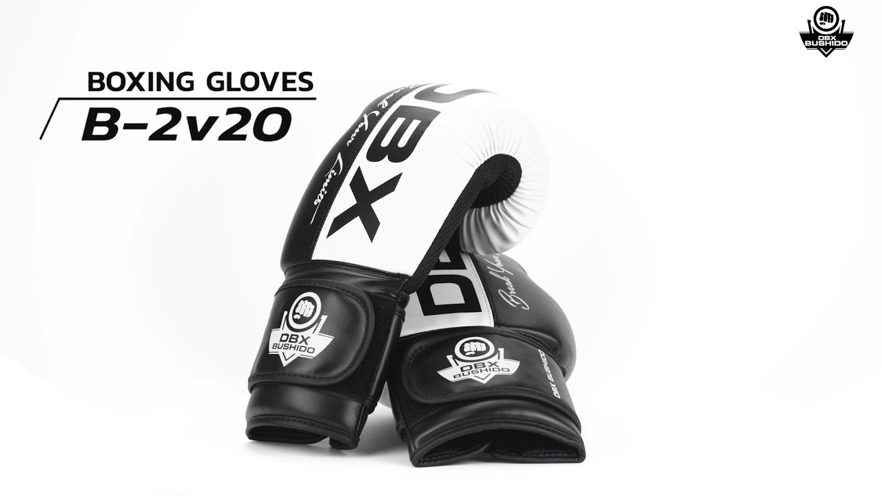 DBX BUSHIDO B-2V20 Active Clima sparring kesztyű