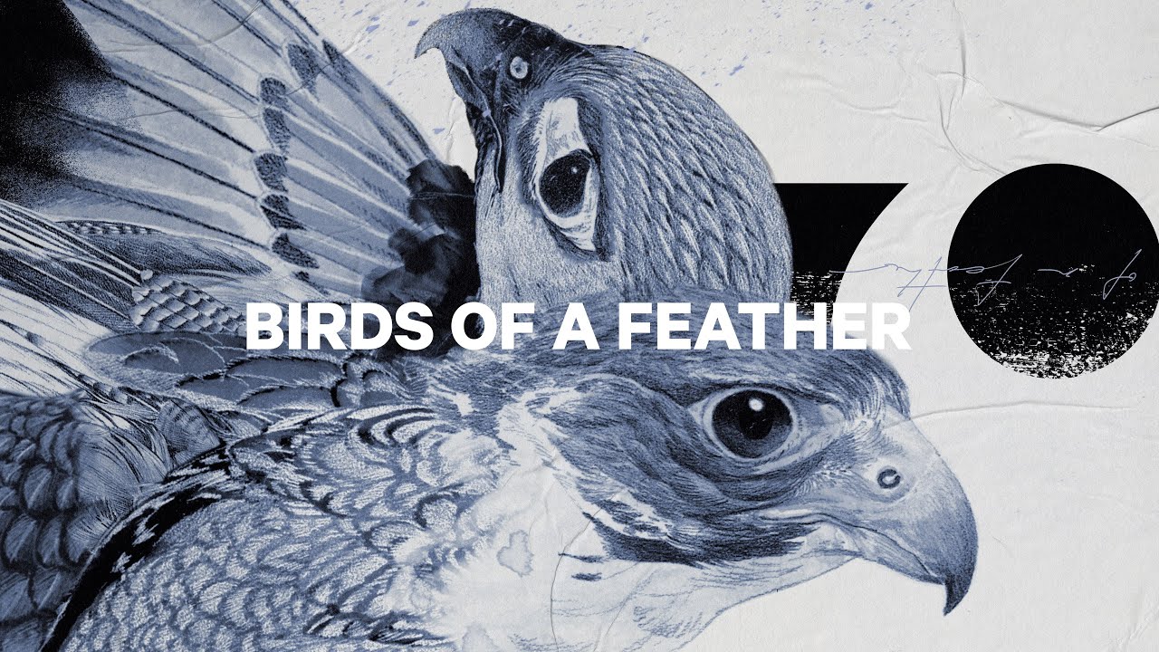 Női snowboard CAPiTA Birds Of A Feather 1221108