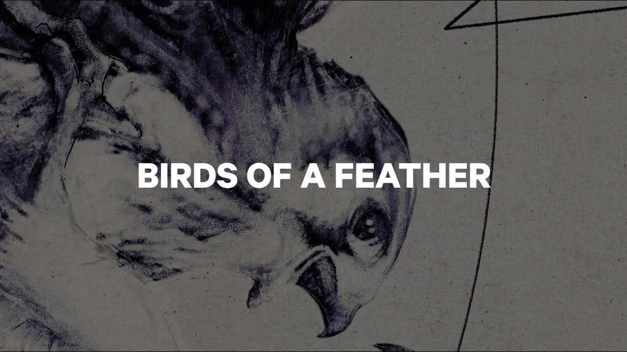 Női CAPiTA Snowboard Birds Of A Feather Fehér 1211119