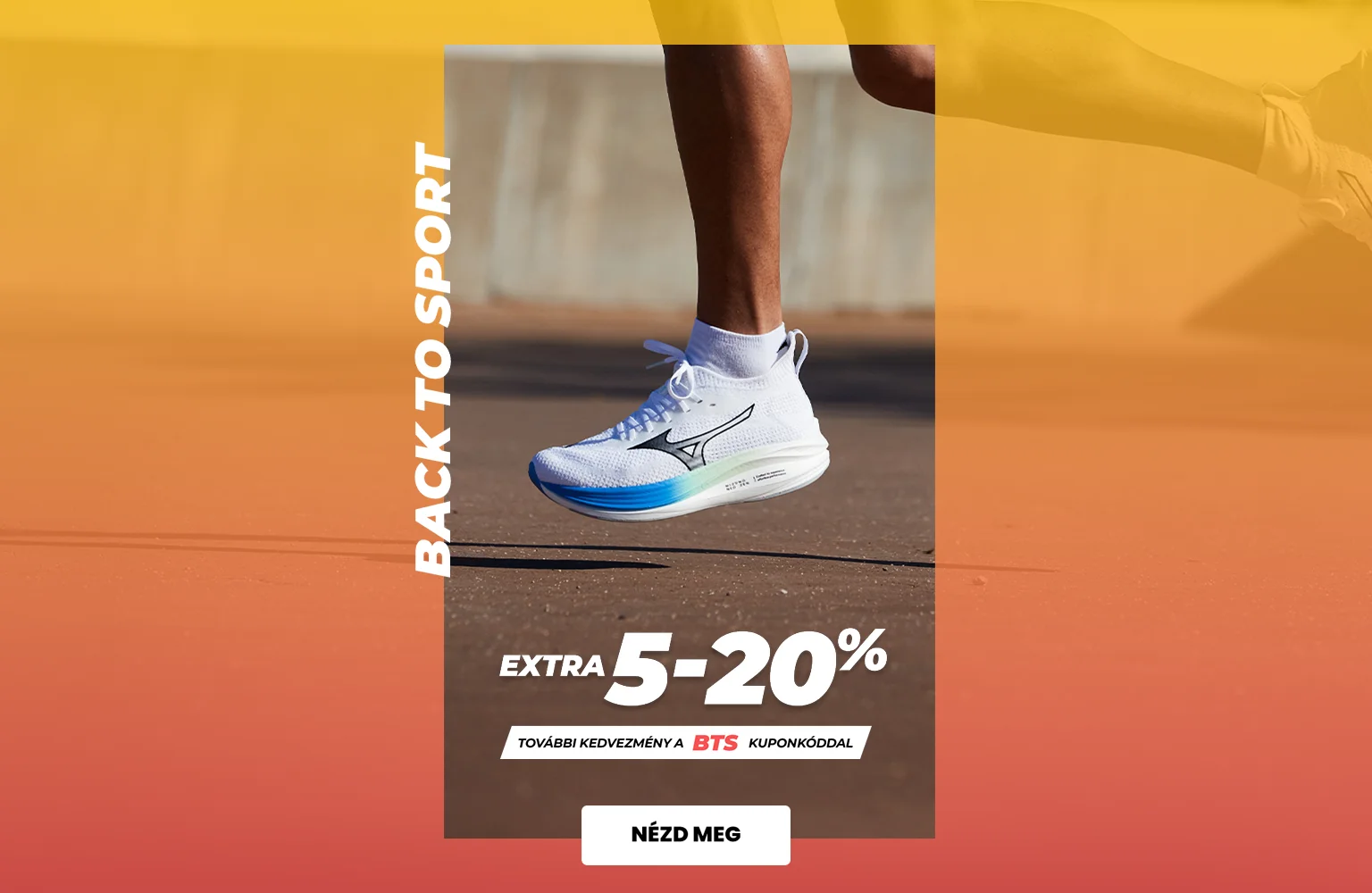 back to sport