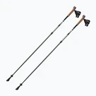 Nordic walking botok